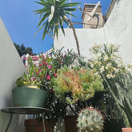 Ferienwohnung Historic Center Private Terrace Málaga Exterior foto